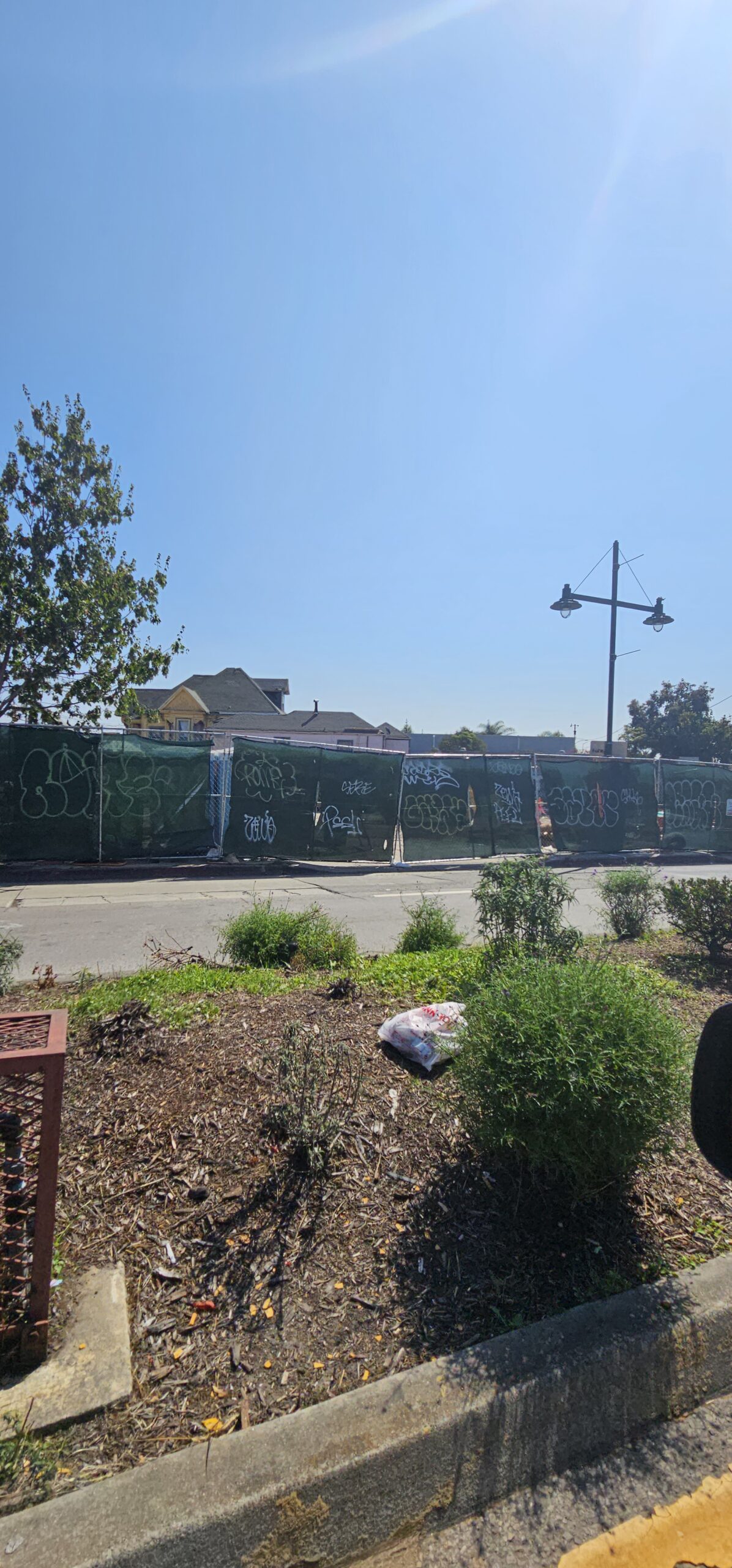 Nellie Hannon | Oakland, CA project photo 5